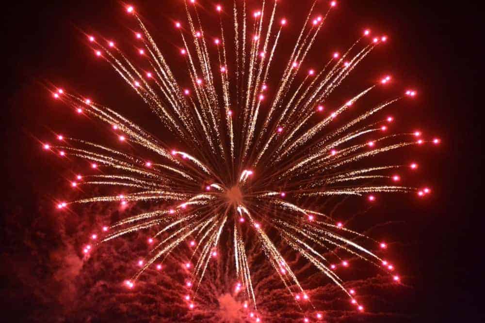 Red and pink peony fireworks lights up the sky.