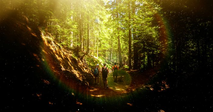 A group of friends hiking in the woods.